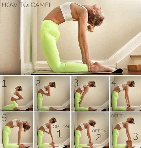 Camel Pose